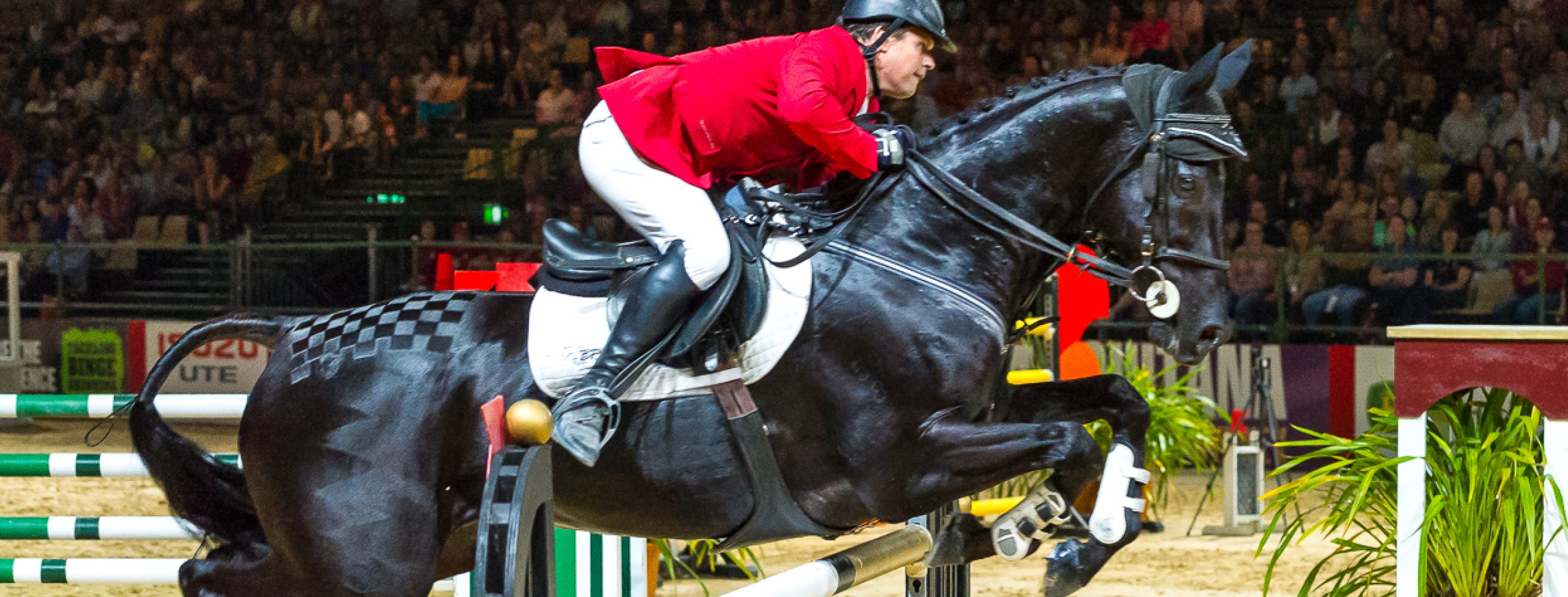 Insurance Equestrian Northern Territory